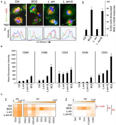 Leishmania amazonensis Subverts the Transcription Factor Landscape in Dendritic Cells to Avoid Inflammasome Activation and Stall Maturation